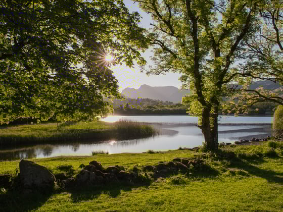 Ein Foto einer Flusslandschaft mit grünen Ufern, Bäumen und Wasserfläche. Morgenstimmung.