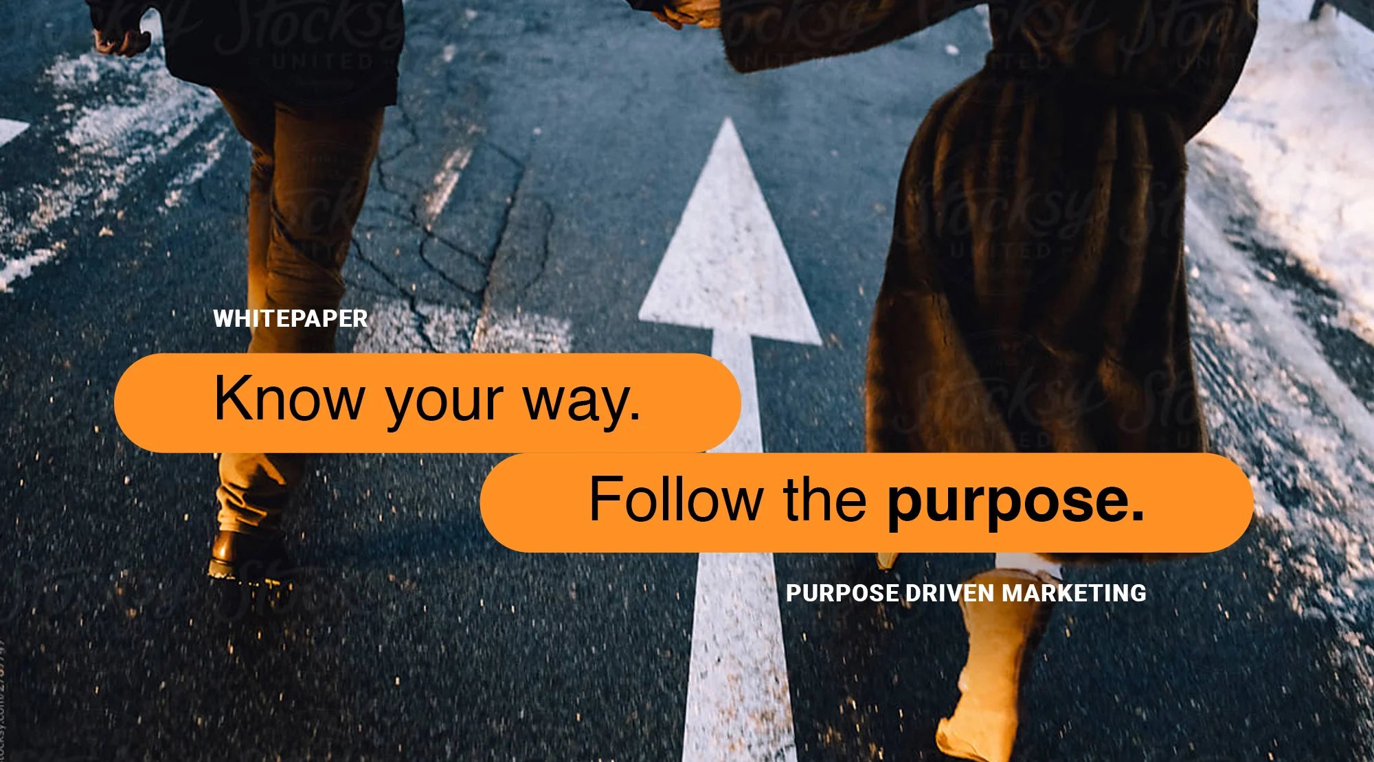 TT_Whitepaper_Landingpage-Header-orange